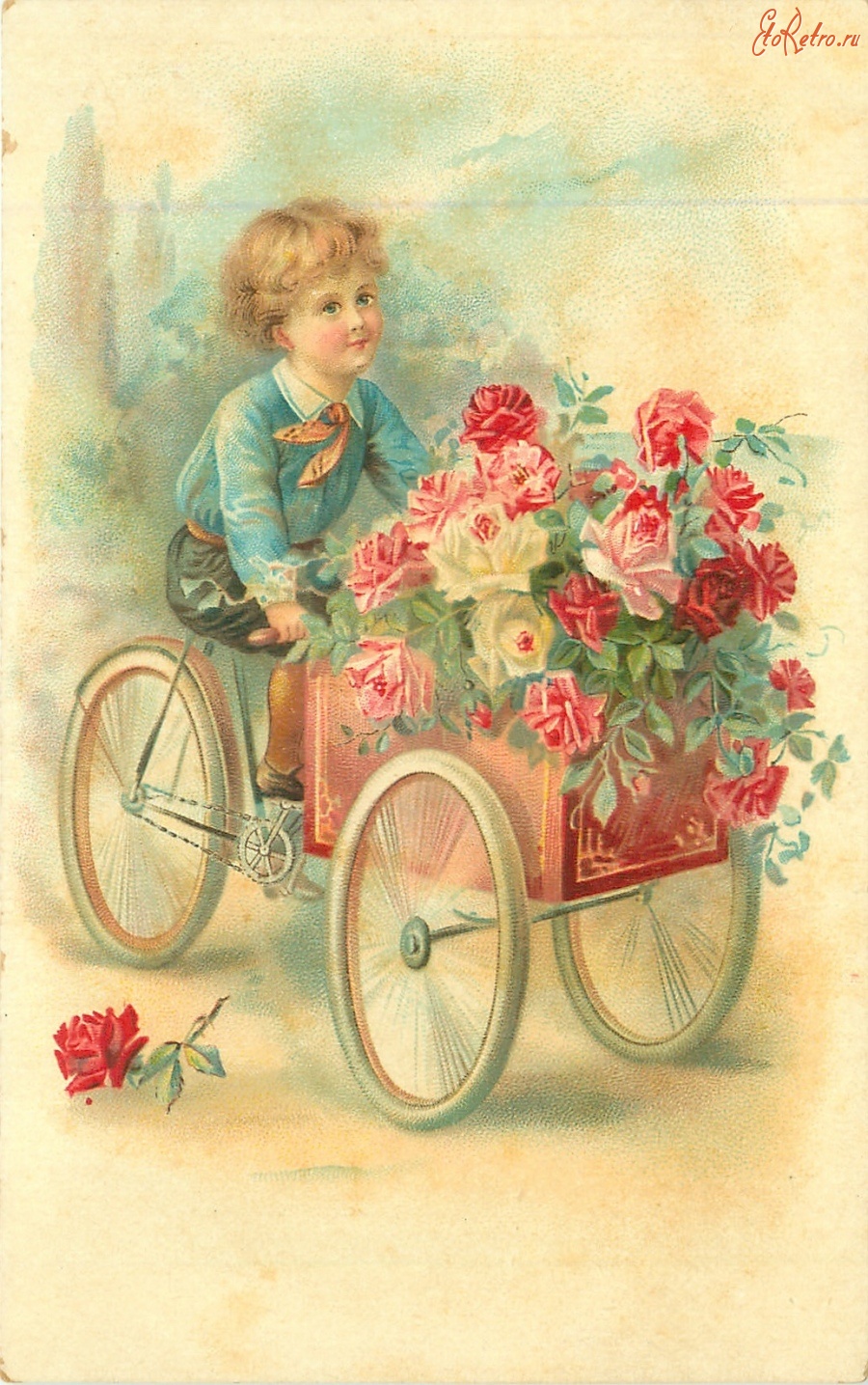 Ретро открытки - Поздравляю. Мальчик на трёхколёсном велосипеде с коробкой роз