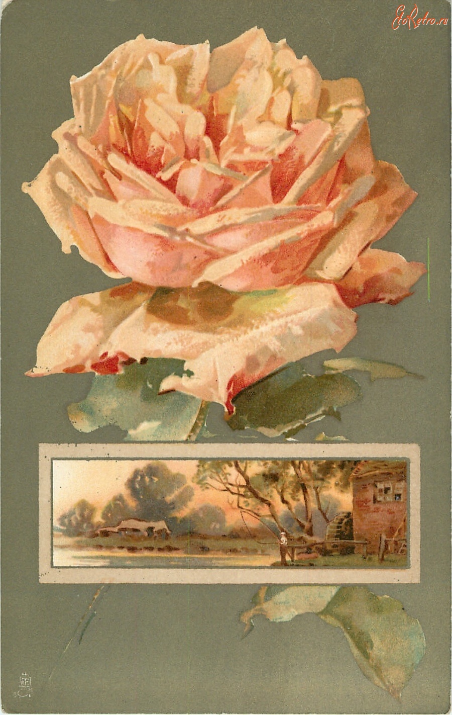 Ретро открытки - Цветочная страна. Жёлтая роза и старая мельница