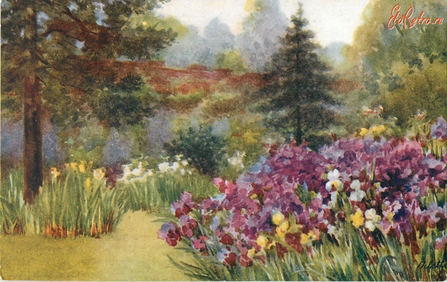 Ретро открытки - Фиолетовые ирисы на фоне каменной стены в саду