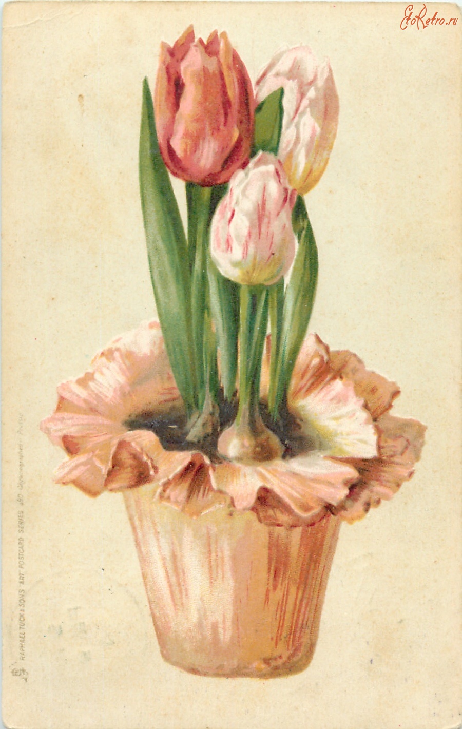 Ретро открытки - Три тюльпана в цветочном горшке