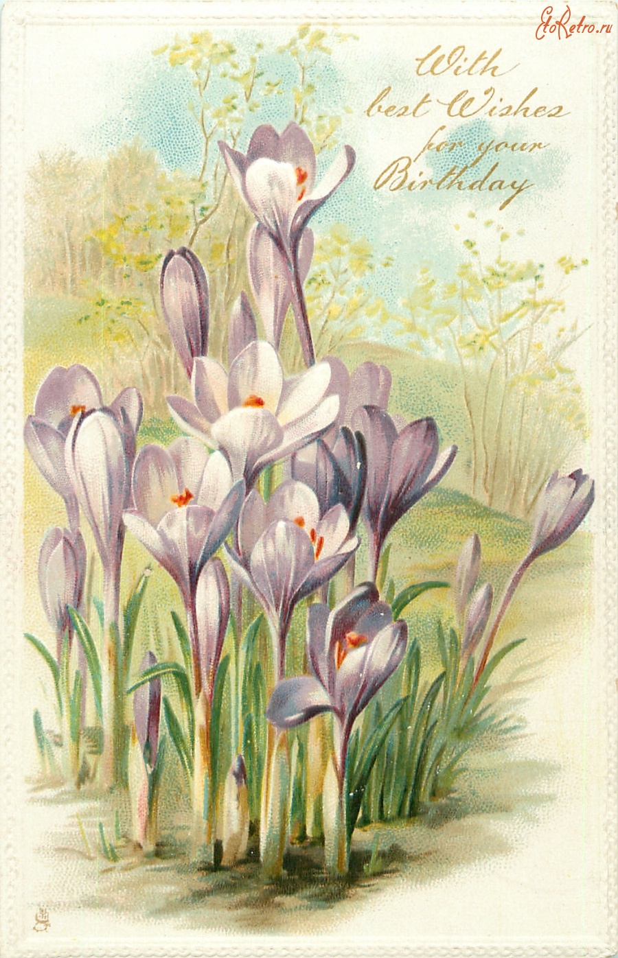 Ретро открытки - Фиолетовые крокусы с лучшими пожеланиями