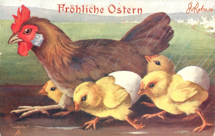 Ретро открытки - Апрельская погода. Коричневая курица и четыре цыплёнка под дождём