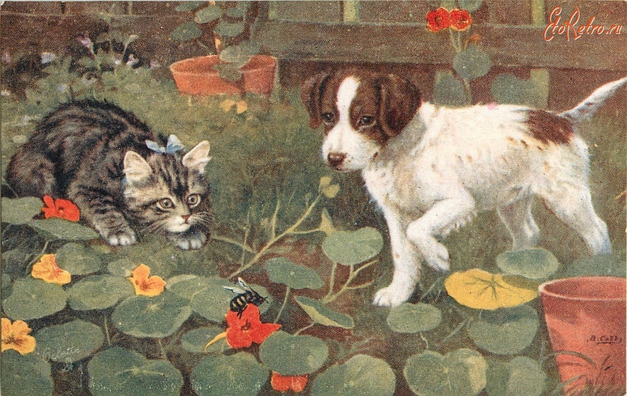 Ретро открытки - Котёнок и белый щенок в саду с настурцией и пчелой