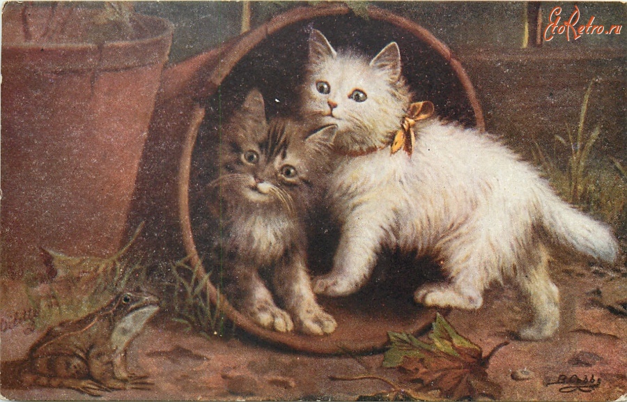 Ретро открытки - Непрошеные гости. Два котёнка в цветочном горшке и лягушка
