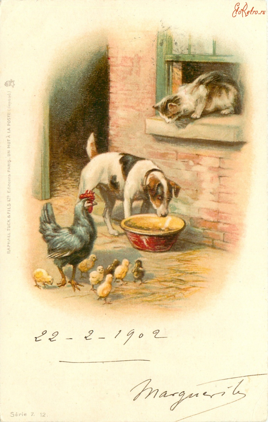Ретро открытки - Собаки и другие животные. Терьер, кошка и курица с цыплятами