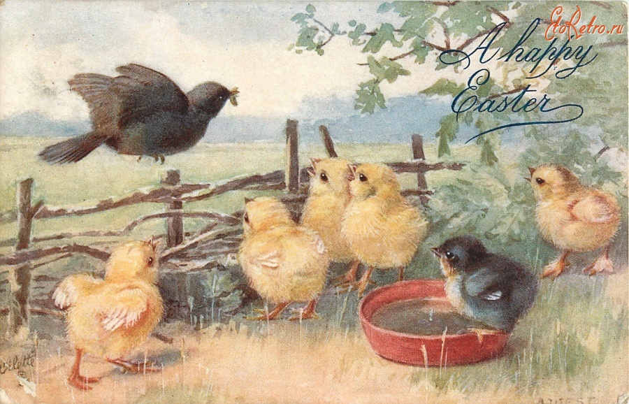 Ретро открытки - Счастливой Пасхи. Дрозд и шесть цыплят у кормушки