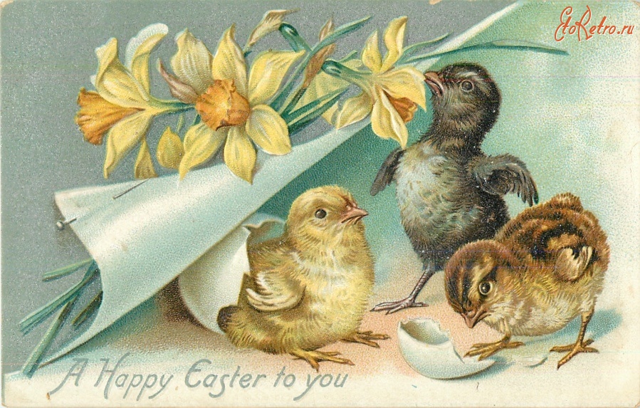 Ретро открытки - Счастливой Пасхи. Три цыплёнка и нарциссы