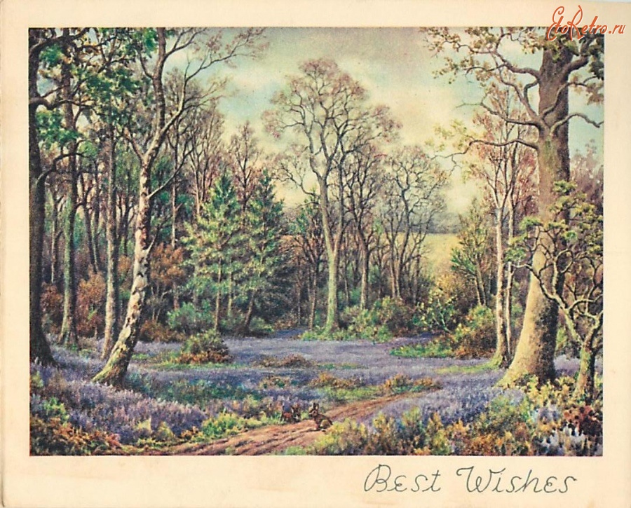 Ретро открытки - Цветочные поляны