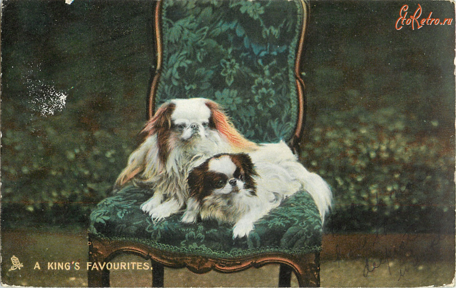 Ретро открытки - Королевские любимцы