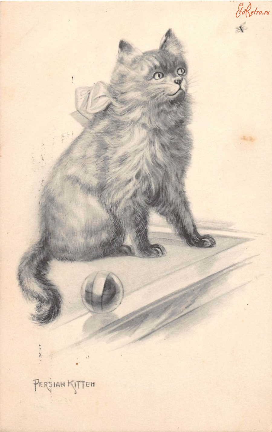 Ретро открытки - Персидский котёнок