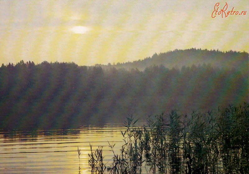 Ретро открытки - Утро на озере