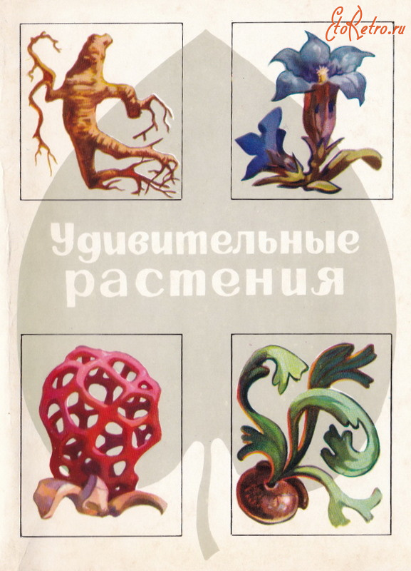 Ретро открытки - Удивительные растения