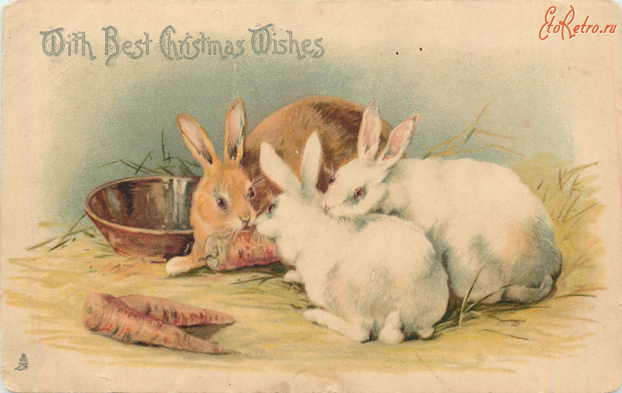 Ретро открытки - Два белых и коричневый кролик с морковкой