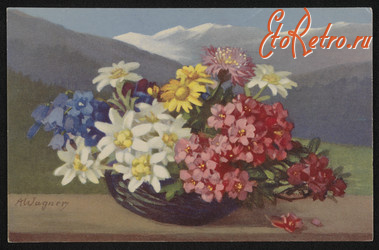 Ретро открытки - Ретро-поштівка.  Квіти в кошику. Польша.