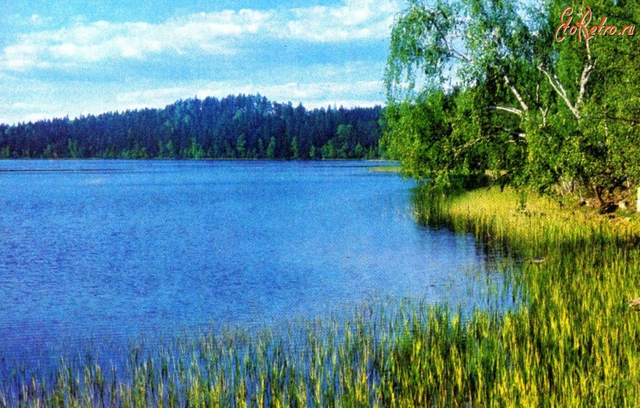Латвия - Озеро Райскума.