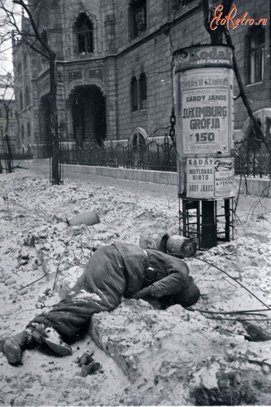 Будапешт - Труп немецкого солдата на одной из улиц Будапешта, освобожденного советскими войсками