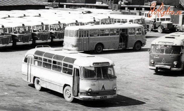 Автобусы - ЛАЗ-695