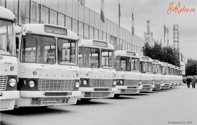 Автобусы - Венгерские автобусы.