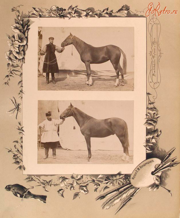 Кишинёв - Павильон конезавода Бузни и Руссо, 1889