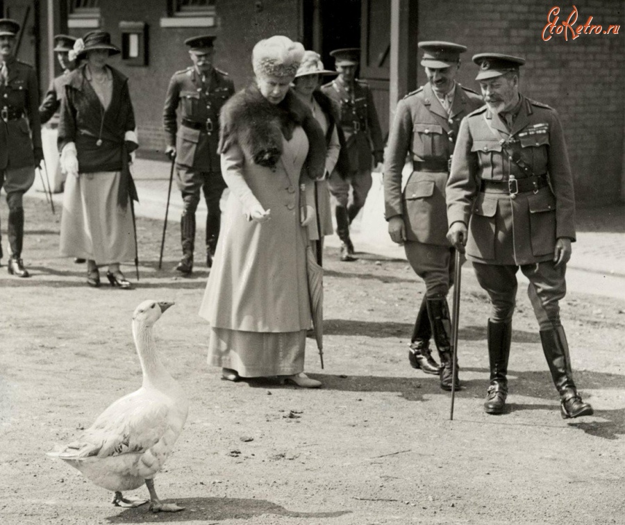 Ретро знаменитости - King George V, Queen Mary and..a goose