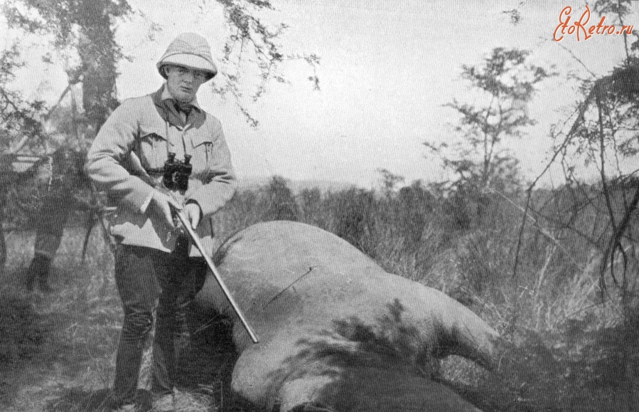 Ретро знаменитости - Уинстон Черчилль с охотничим трофеем - белым носорогом. 1907 год.