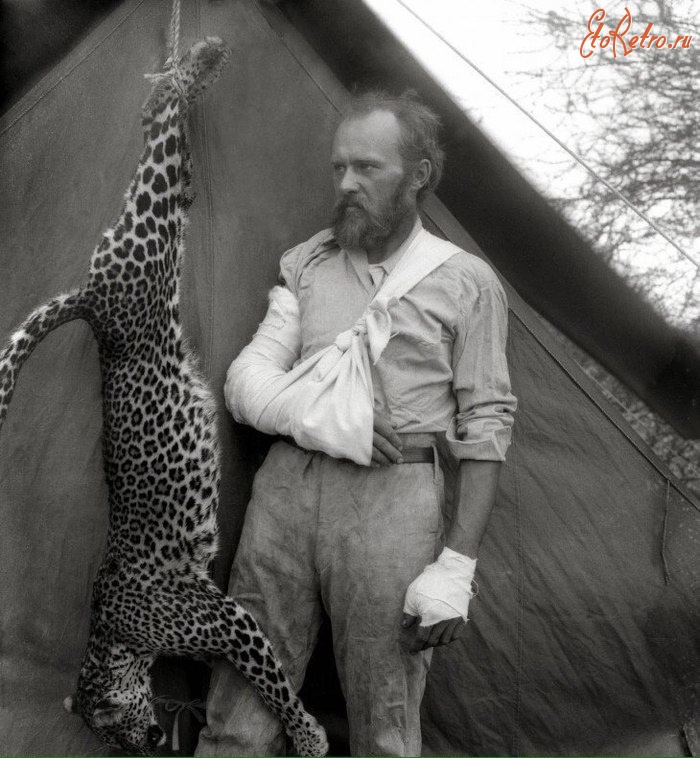 Ретро знаменитости - Карл Эйкли и напавший на него леопард,которого он убил голыми руками