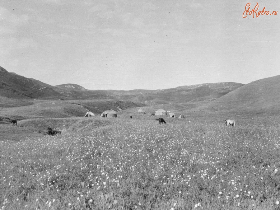 Киргизия - Алайские киргизы. Лагерь Асанбека, сына Курманжан Датка, 1906