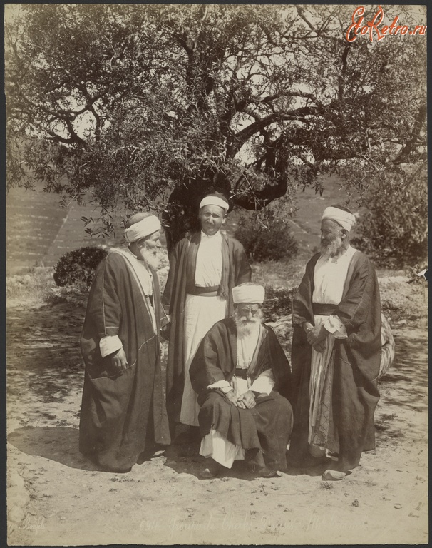 Израиль - Группа мужчин-друзов под оливой на горе Кармель, 1867-1870