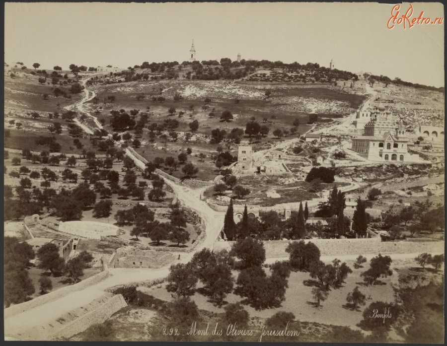 Израиль - Вид Масличной горы в Иерусалиме, 1867-1870