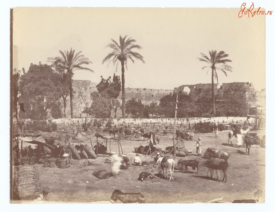 Израиль - Рынок у стен Яффы, 1880-1885