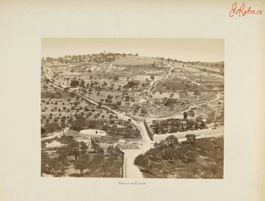 Израиль - Масличная гора, 1870-1885