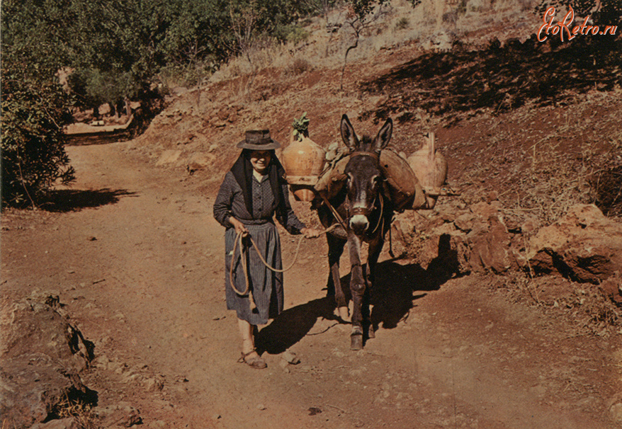 Португалия - Крестьянка с осликом на горной дороге в Алгарви, Португалия