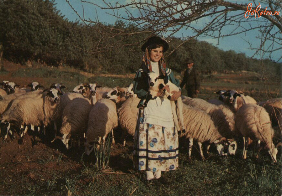 Португалия - Алгарви. Португальская девушка с ягнёнком и стадо овец
