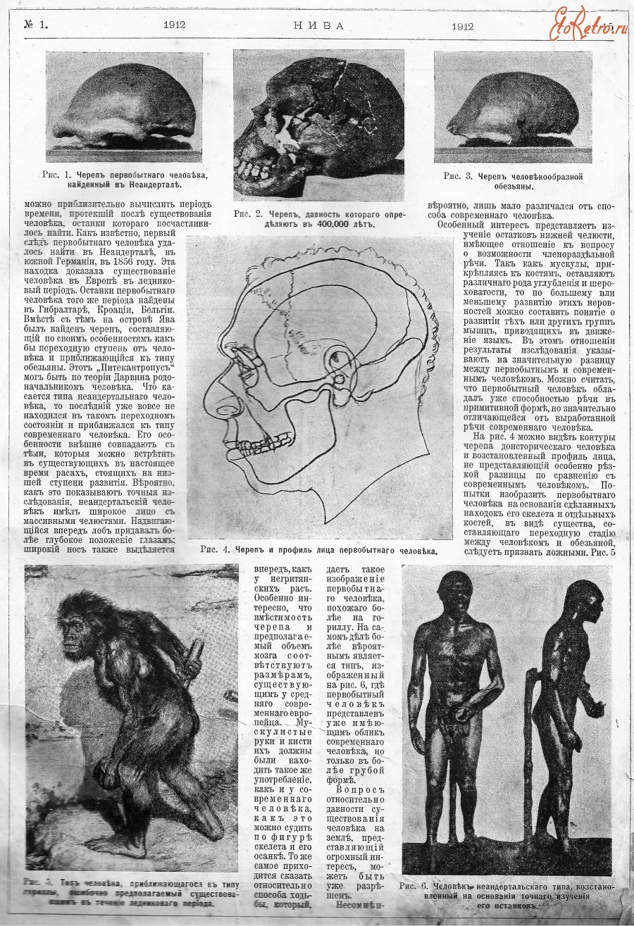 Пресса - Черепа предков человека-неандертальцев