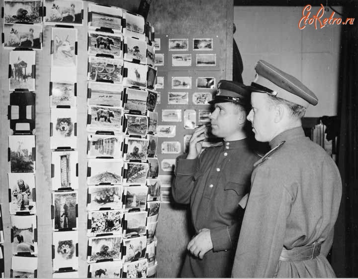 Авиация - Два советских сержанта в одном из магазинов Фэрбенкса. Аляска, 1943-1945
