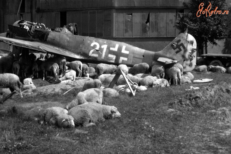Авиация - Разбитый немецкий истребитель Fw 190