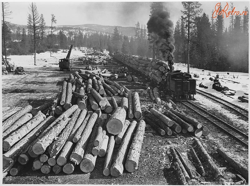 Железная дорога (поезда, паровозы, локомотивы, вагоны) - Узкоколейная ж.д.на лесозаготовках в индейской резервации Колвилл,штат  Вашингтон,США