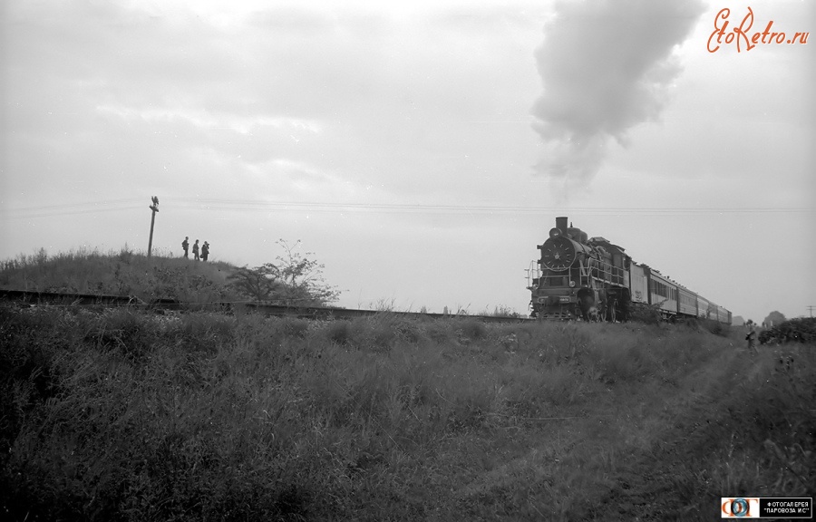 Железная дорога (поезда, паровозы, локомотивы, вагоны) - Туристический поезд с паровозом Су250-74 на перегоне Лабинская-Родниковская,Краснодарский край