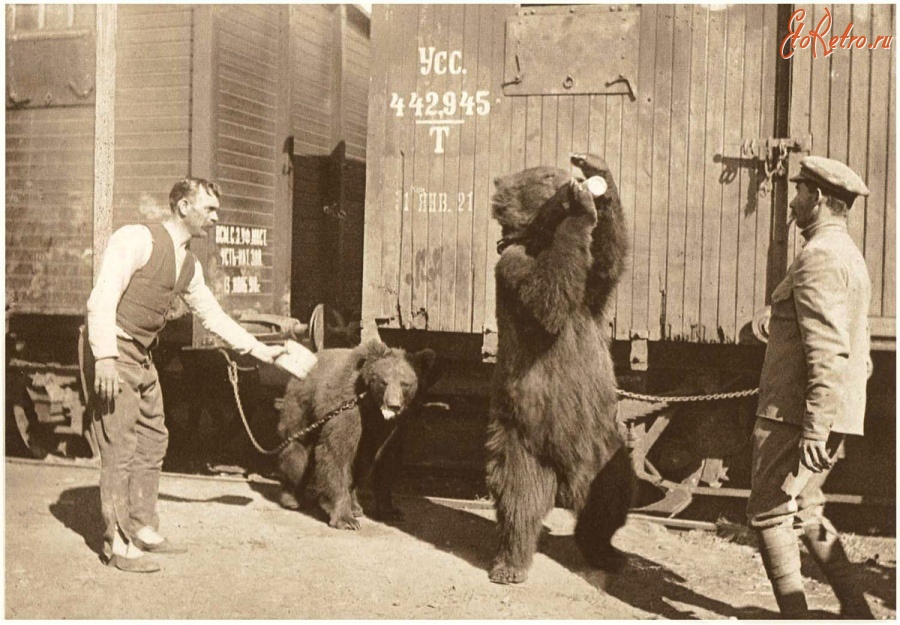 Железная дорога (поезда, паровозы, локомотивы, вагоны) - Чехословацкие легионеры на ст.Томск забавляются с медведями