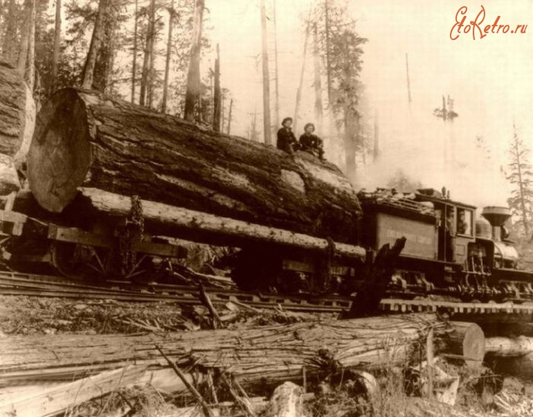 Железная дорога (поезда, паровозы, локомотивы, вагоны) - На лесозаготовке