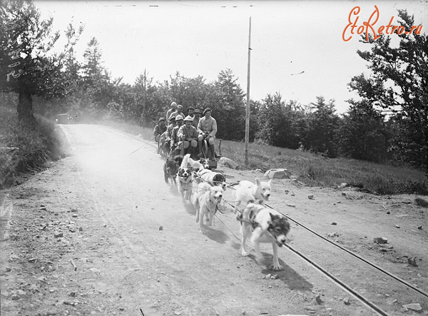 Железная дорога (поезда, паровозы, локомотивы, вагоны) - Французская военно-полевая железная дорога на собачьей тяге