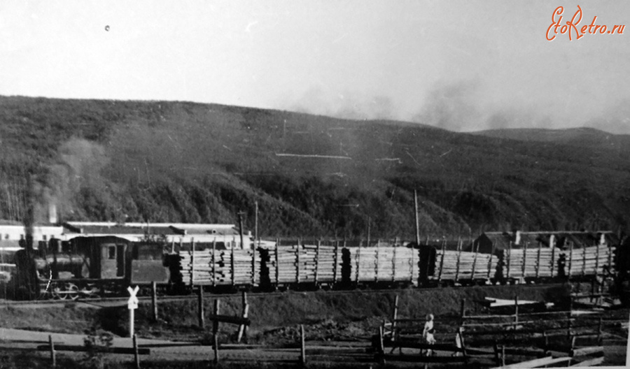 Железная дорога (поезда, паровозы, локомотивы, вагоны) - Поезд с лесом на Бодайбинской узкоколейной ж.д.