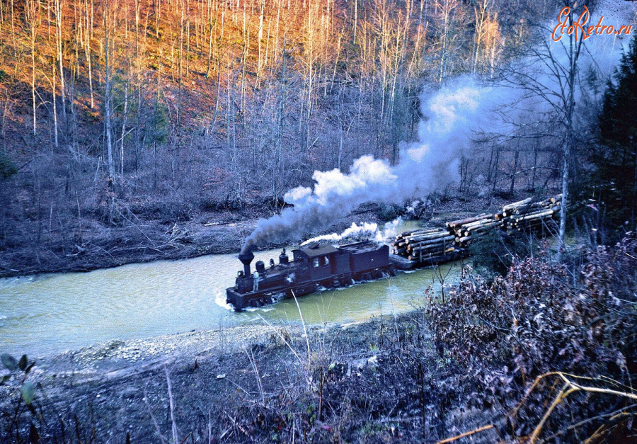 Железная дорога (поезда, паровозы, локомотивы, вагоны) - Паровоз системы Шея (постройки 1905 г.) с поездом на лесозаготовках