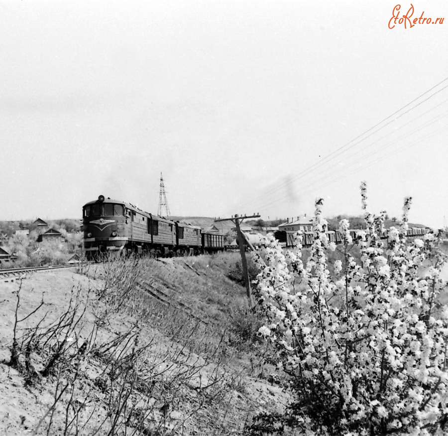 Железная дорога (поезда, паровозы, локомотивы, вагоны) - Тепловоз ТЭ3 с поездом