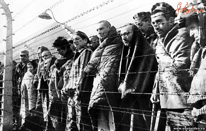 Войны (боевые действия) - Узники Освенцима.
