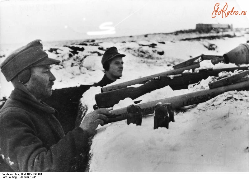 Войны (боевые действия) - Фольксштурм под Кёнигсбергом. Январь 1945 года