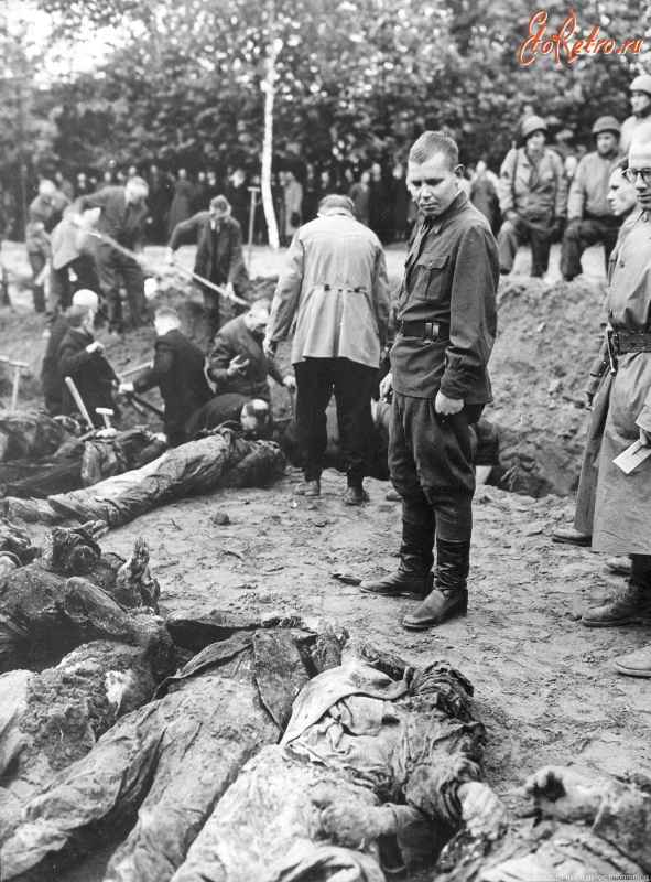 Войны (боевые действия) - Бывший советский пленный Петр Пальников при эксгумации расстрелянных на кладбище Зеельхорст