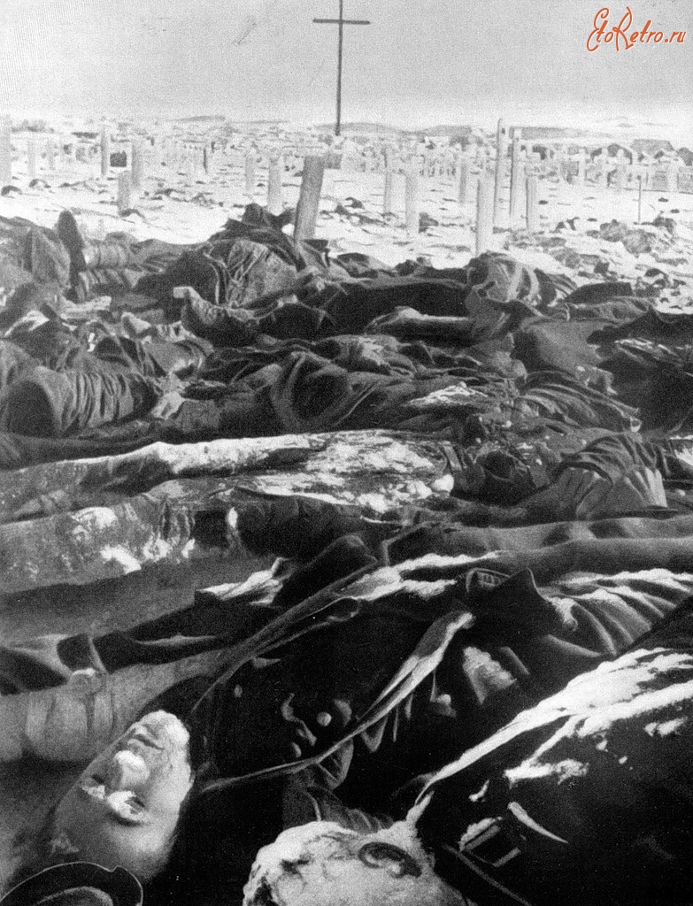 Войны (боевые действия) - Тела погибших в районе Сталинграда немецких солдат.