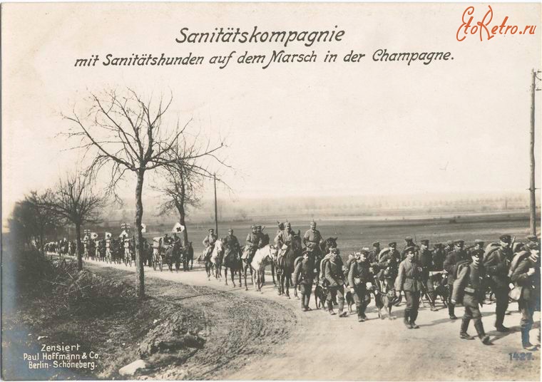 Войны (боевые действия) - Немецкий санитарный полк в Шампани, 1914-1918