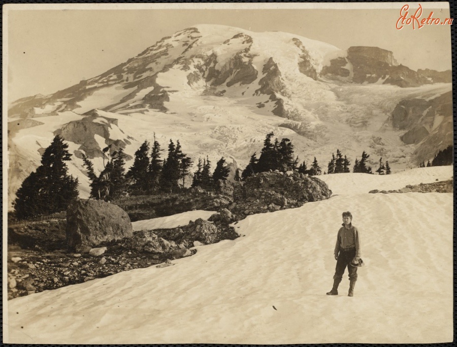Штат Вашингтон - Снежная шапка на горе  Ренье в июле, 1900-1938